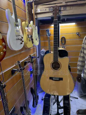 Smiger Semi Acoustic Guitar M-215-41