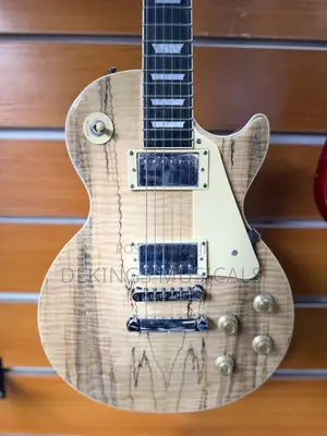 Gibson Les Paul Standard Electric Guitar