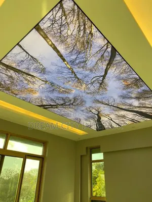 3d Stretch Ceiling Designs