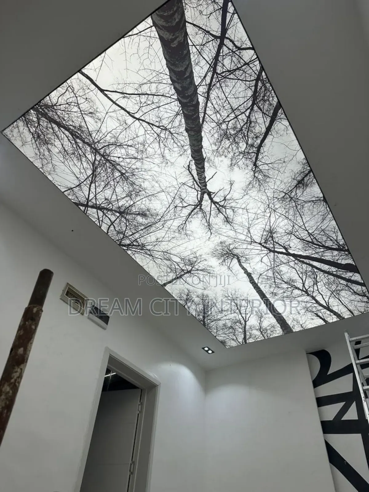 3d Stretch Ceiling Designs