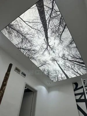 3d Stretch Ceiling Designs