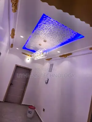 Professional Electrician