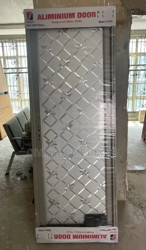 Full Glass Toilet Door