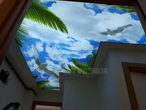 3d Stretch Ceiling Designs