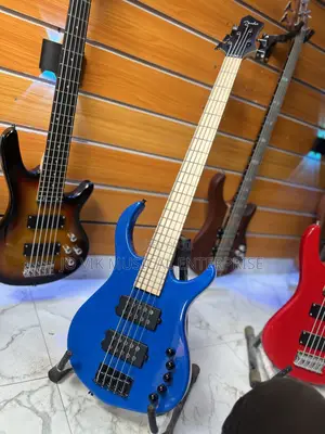 Bass Guitar Fender