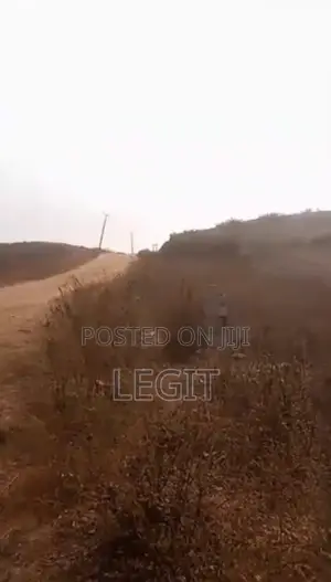 15 Hectares Land R of O