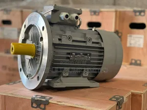 Electric Motor