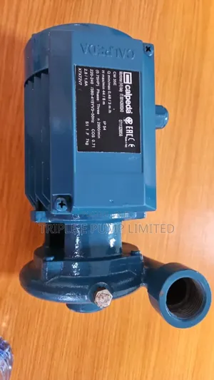 Calpelda Surface Pump