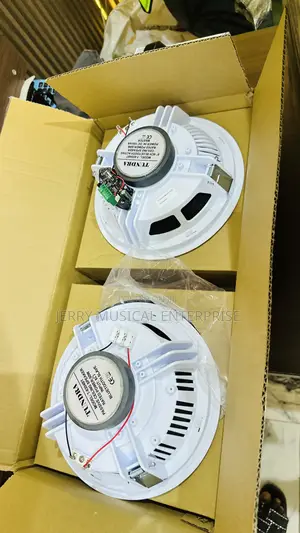 Active /Passive Ceiling Speakers With Woofer