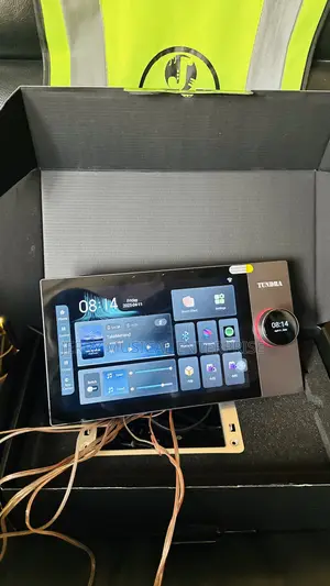 10inches Smart Wall Amplifier With Inbuilt Alexa And Tuya App