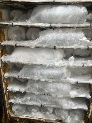 Mini Cold Room/Blast Freezer/Ice Block Machine
