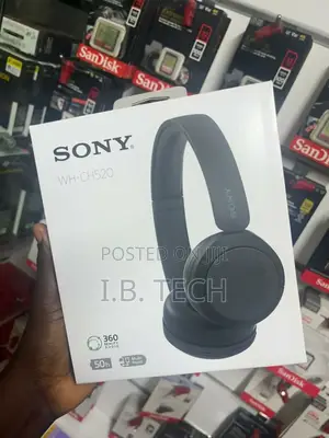 Sony Ch520 Bluetooth Headphones
