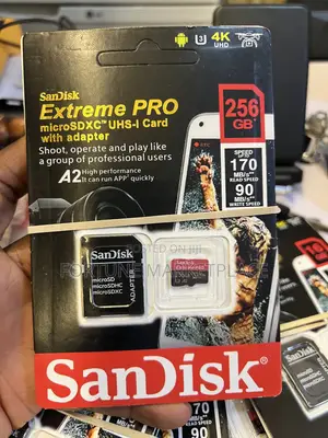 Scandisk Professional Memory Card