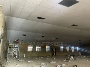 Guysum Ceiling Board Only
