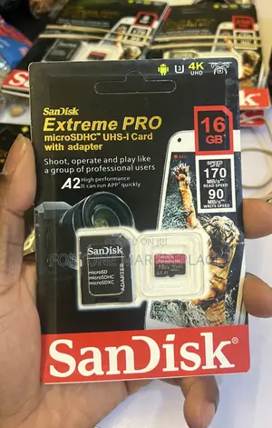 Scandisk Professional Memory Card