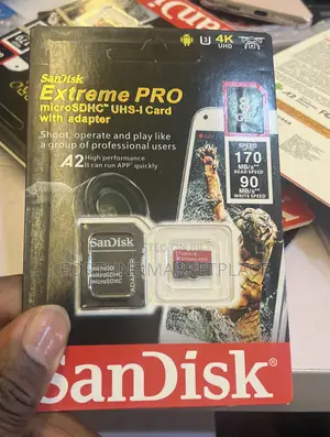 Scandisk Professional Memory Card