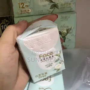 Facial Tissue Paper Pocket Tissue Serviette Napkin Gift