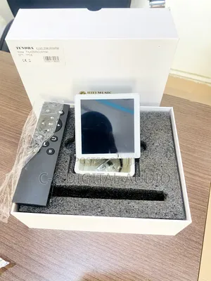 Smart Android Amplifier With Alexa Etc