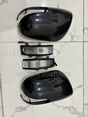 2007-2011 Camry Side Mirror Cover With Pointer Light