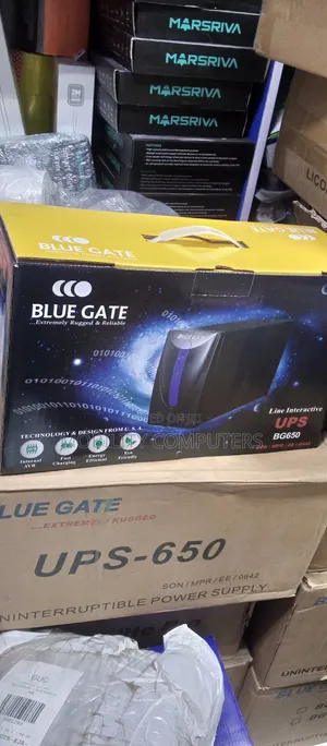 Blue Gate Ups 650va Battery