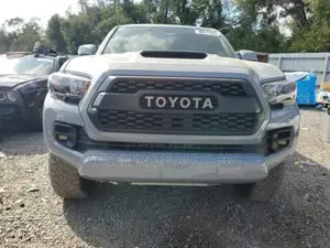 Toyota Tacoma TRD Off Road 2017 Gray