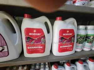 Morigad Disinfectant 4l - Dichloroxylenol + Chlorophenol
