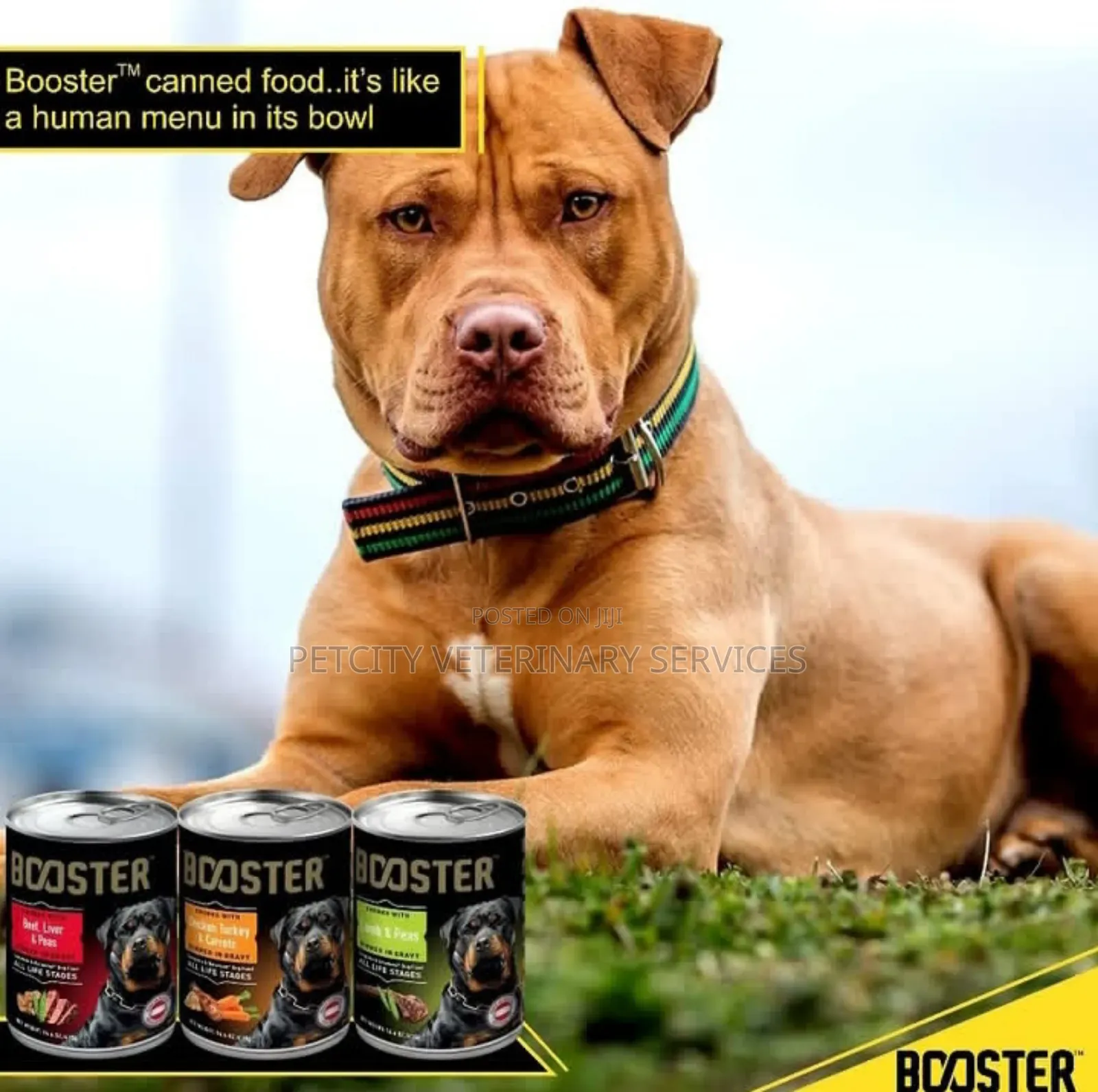 Booster Products