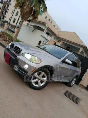 BMW X5 xDrive 48i AWD (4.8L 8cyl 6A) 2009 Gray