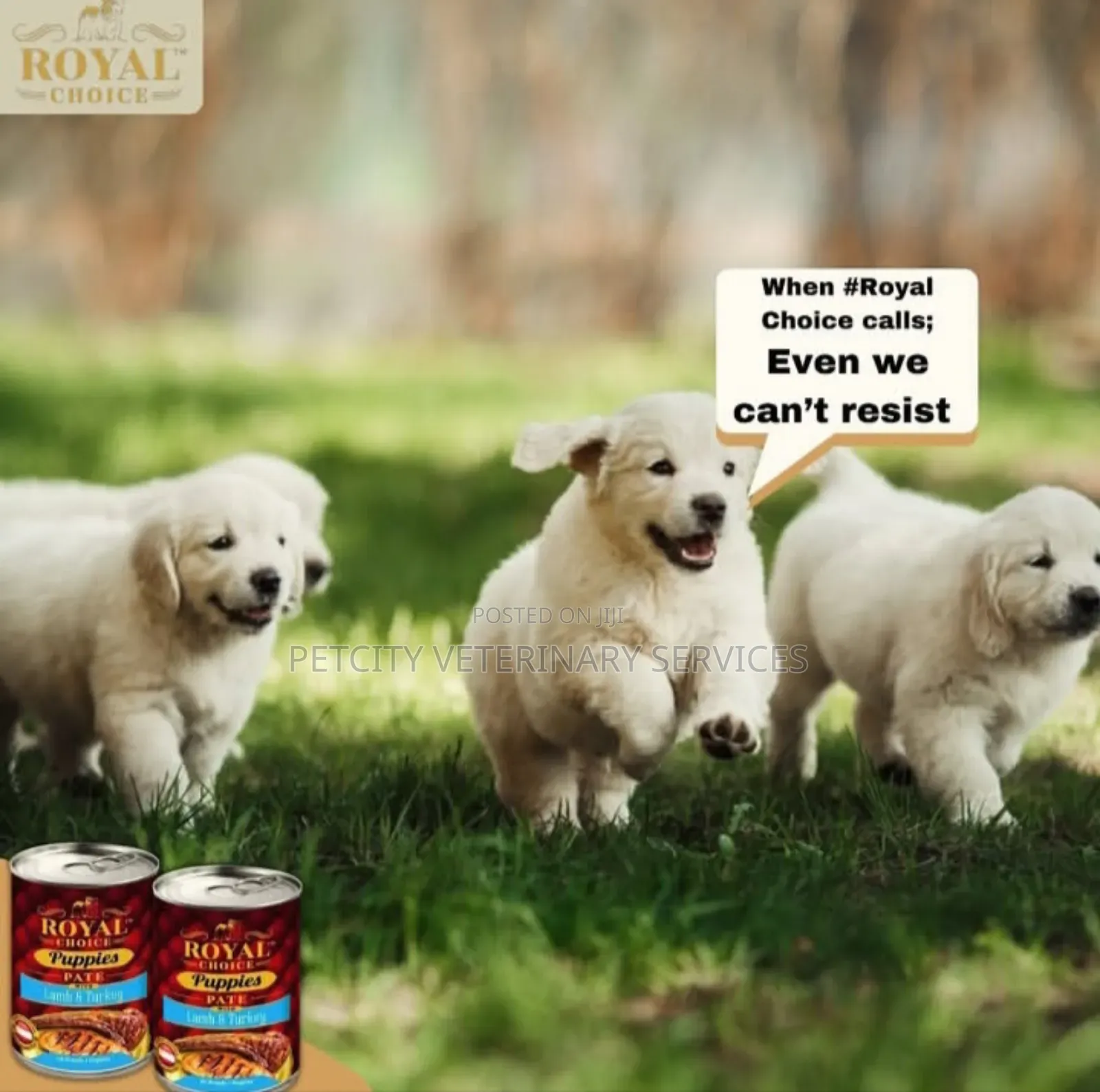 Royal Choice Products