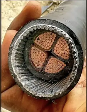 Coleman Electric Cable 150mm by 4core