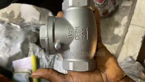 1.1/2stainless Steel Swing Check Valve ( Non Return Valve)25