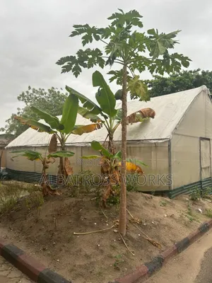 Used 20ft by 30ft Vegetable Greenhouse