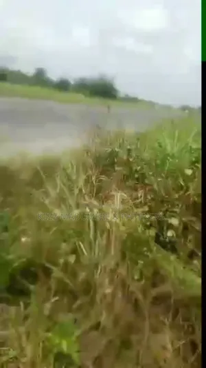 For Sale : Over 3500 Dried Plots Land in Omagwa, Port Harcourt