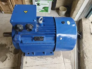 Electric Motor 55kw