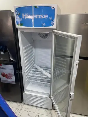 Hisense Display Fridge Showcase Fridge 282