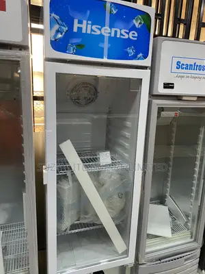 Hisense Display Showcase Fridge 222