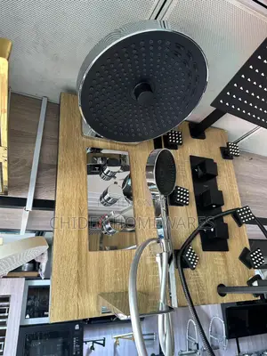 Luxury Stainless Shower