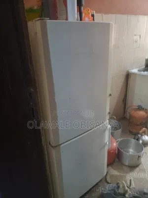 Standing Liebherr Fridge