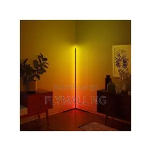 Modern Minimalist Edge Floor Corner Standing Lamp RGB Color