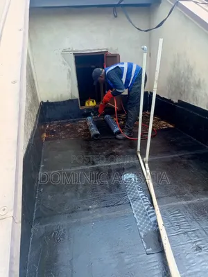 Selfhood Waterproofing Professional