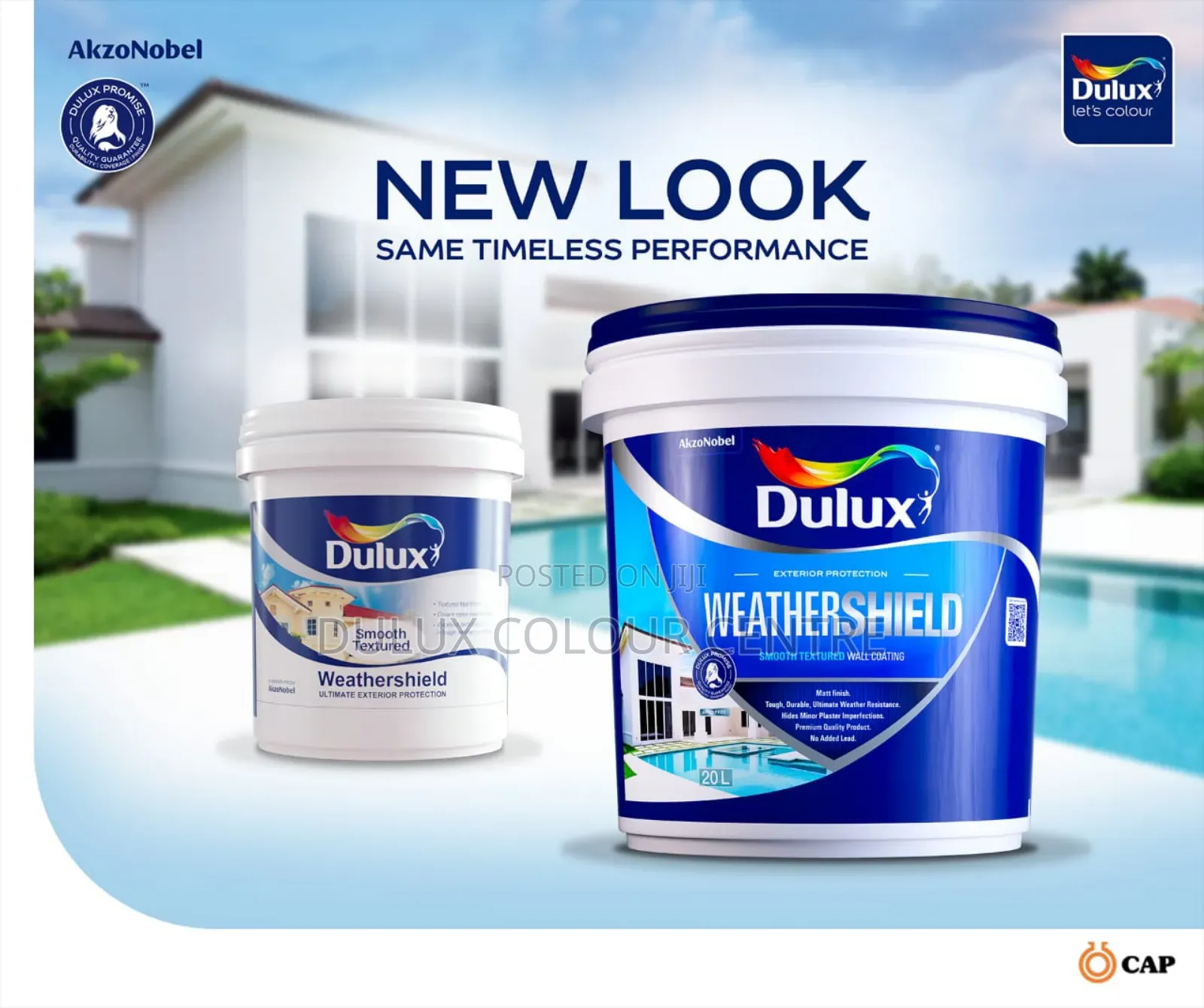 Dulux Paint