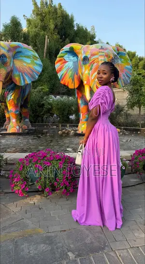 Long Pleated Gown