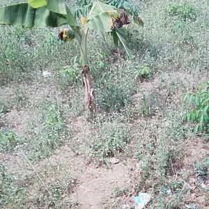 Plots Of.Land for Sale at Fagba Iju