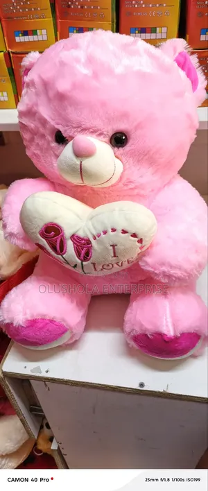 50 Cm Teddy Bear