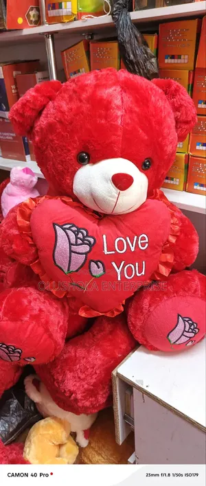 60cm Teddy Bear