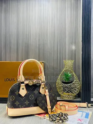 Luxe Lv Mini Chic Bag  Available in 2 Pretty Colors  White  Brown