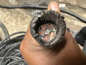Coleman Electric Cable 16mm by 5core