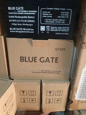 Bluegate 12v9ah Ups Battery