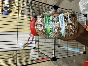 Parrot Feed