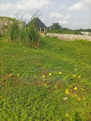 Half Plot of Land at Isheri- Osun